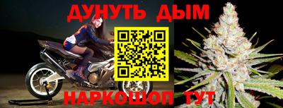 прущие грибы Пушкино